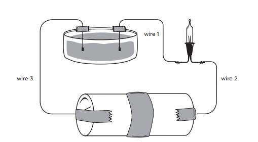 Black Light Basics - Science World