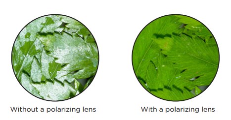 polarizer lens filter