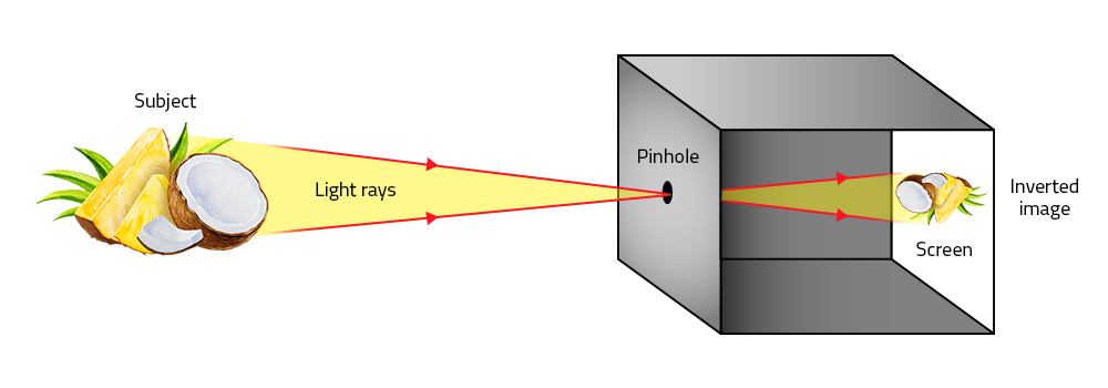 Pinhole camera, illustration - Stock Image - C050/8260 - Science Photo  Library