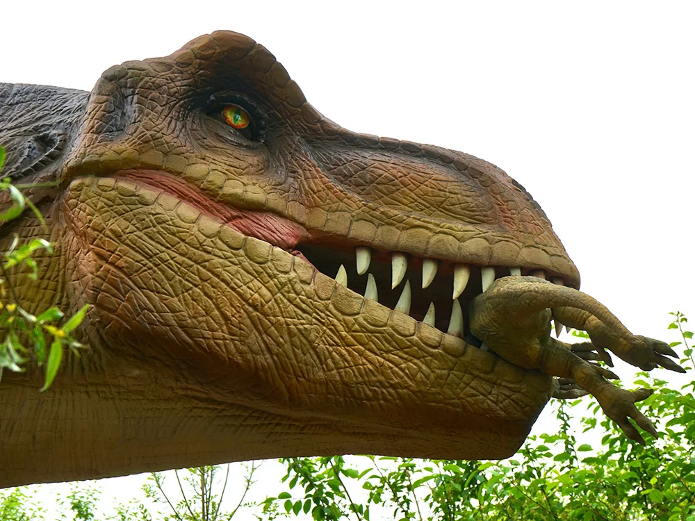 herbivore dinosaurs teeth