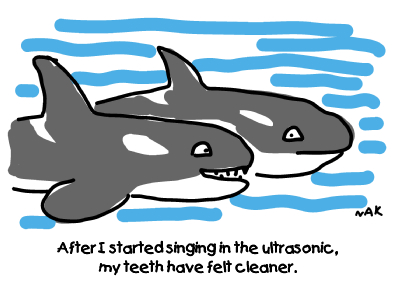 How do Ultrasonic Teeth Cleaners Work? - Science World