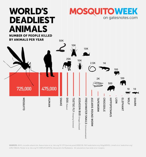most dangerous animals chart